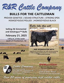 RRCattleCover.jpg