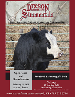 dixon_simmental_cover25.png